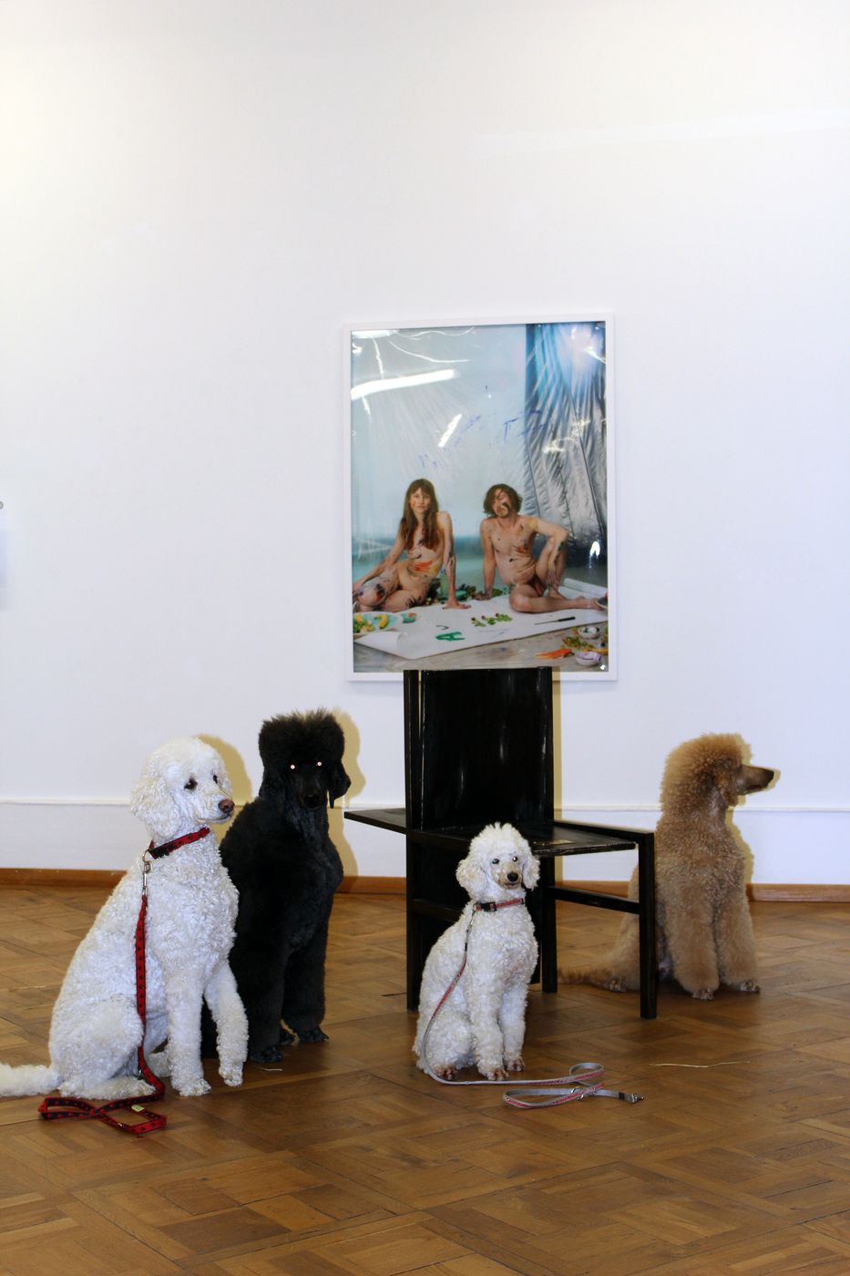 Der Pudel Moment, 2013