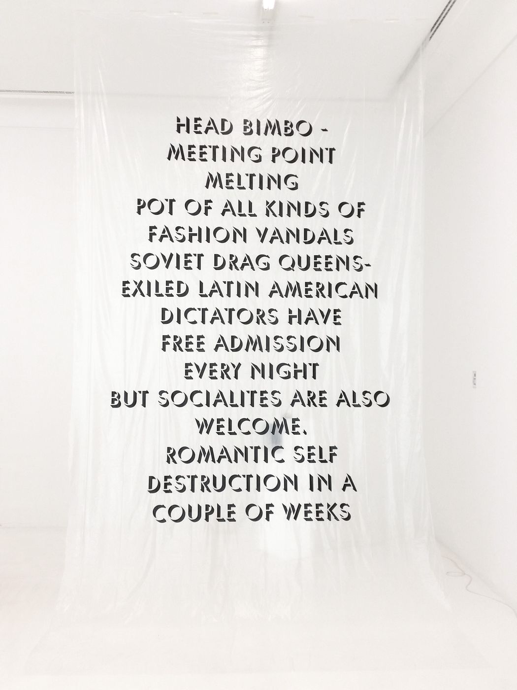 Head Bimbo, 2017